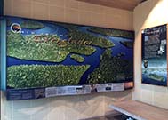 Photo taken 01-24-2016