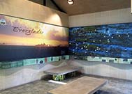 Photo taken 01-24-2016