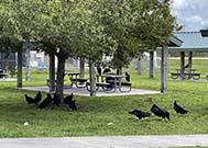 Photo taken 07-15-2021