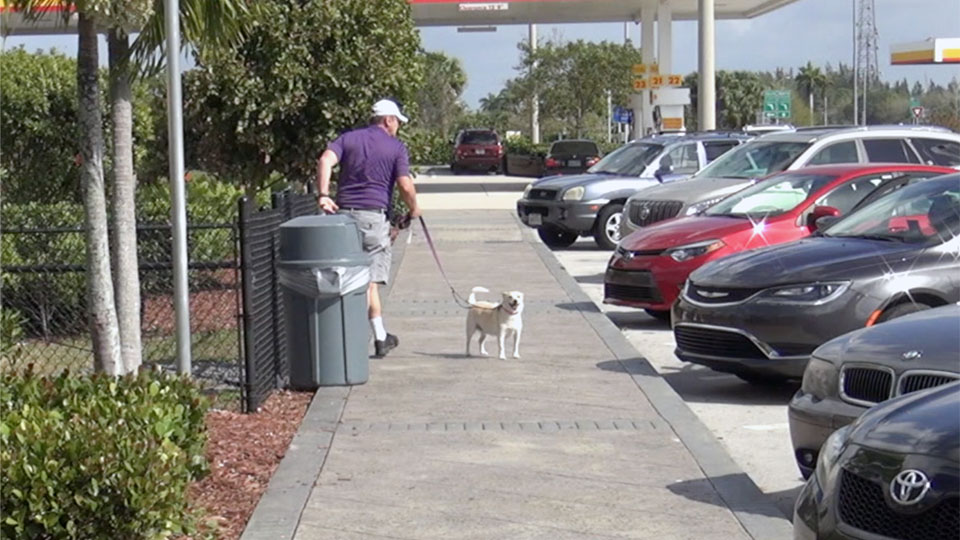 Plaza Tours by Turnpikes.com: West Palm Beach